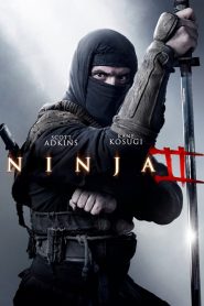 Ninja 2: Cień Łzy