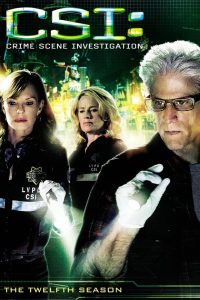 CSI: Kryminalne zagadki Las Vegas: Season 12