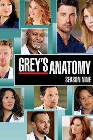 Chirurdzy: Season 9