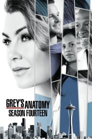 Chirurdzy: Season 14