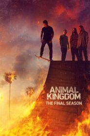 Królestwo zwierząt: Season 6